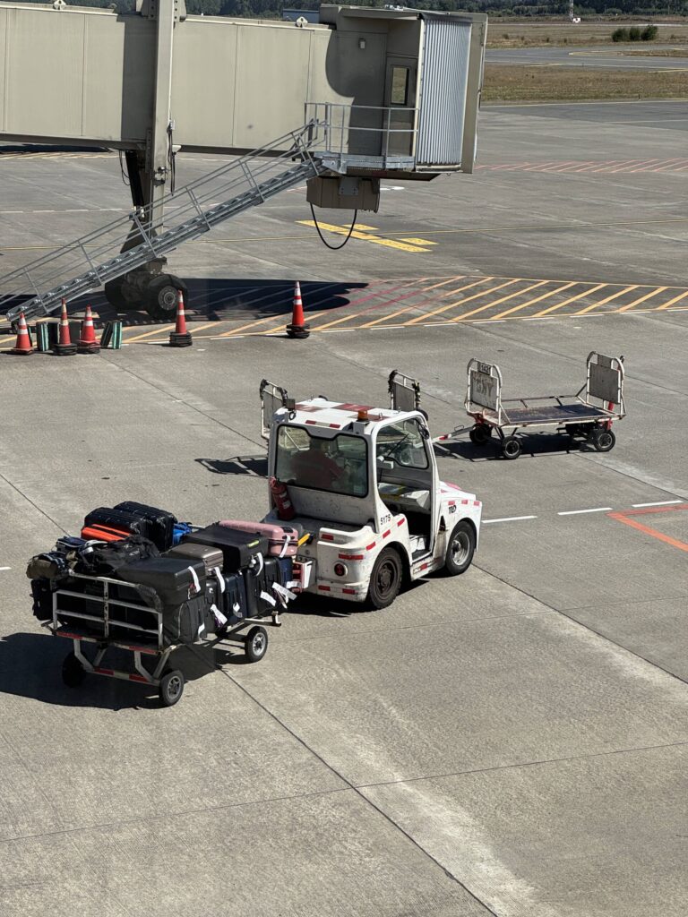 Temuco Airport buggy