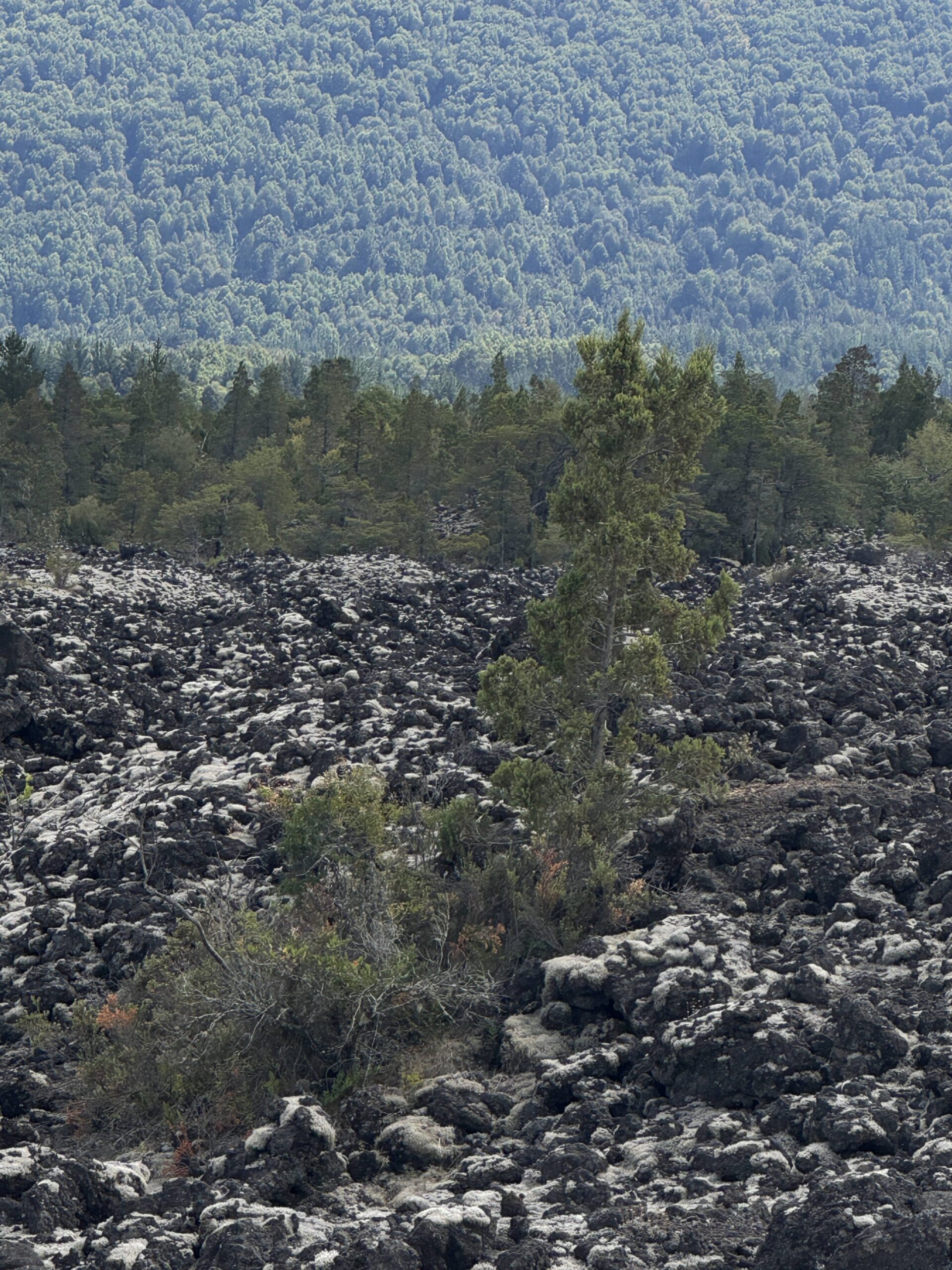 Melipeuco volcano stones