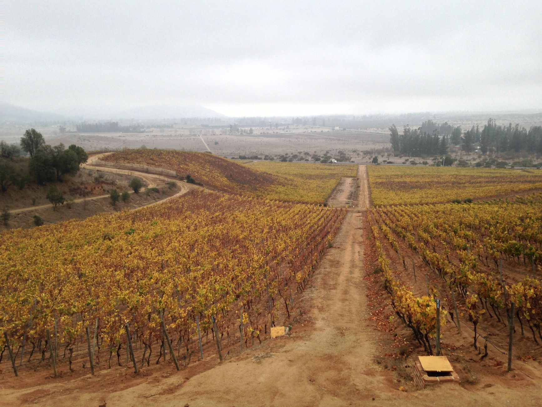 2-day Casablanca and Colchagua wine country itinerary for couples