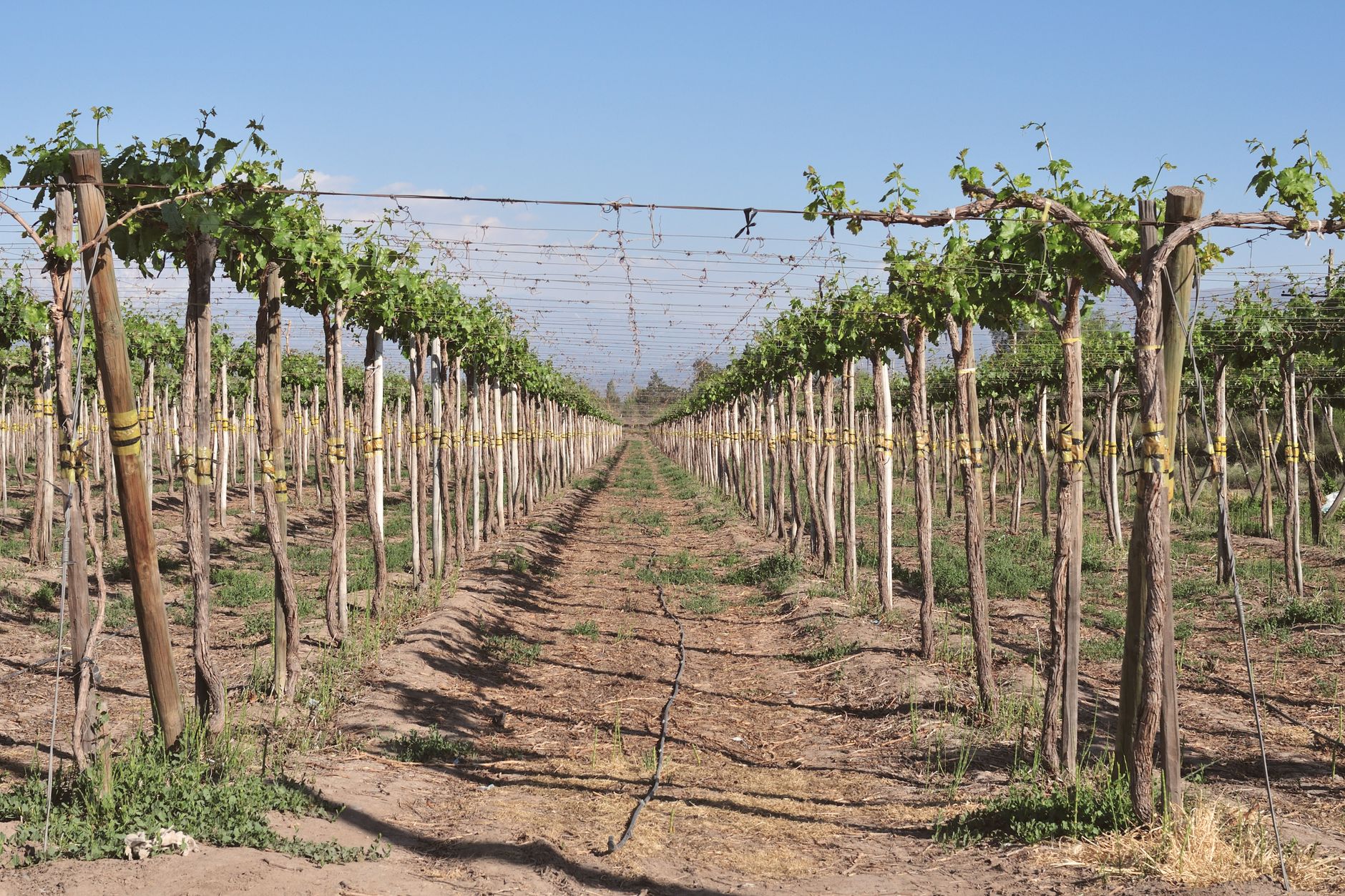 2-day Casablanca and Colchagua wine country itinerary for couples