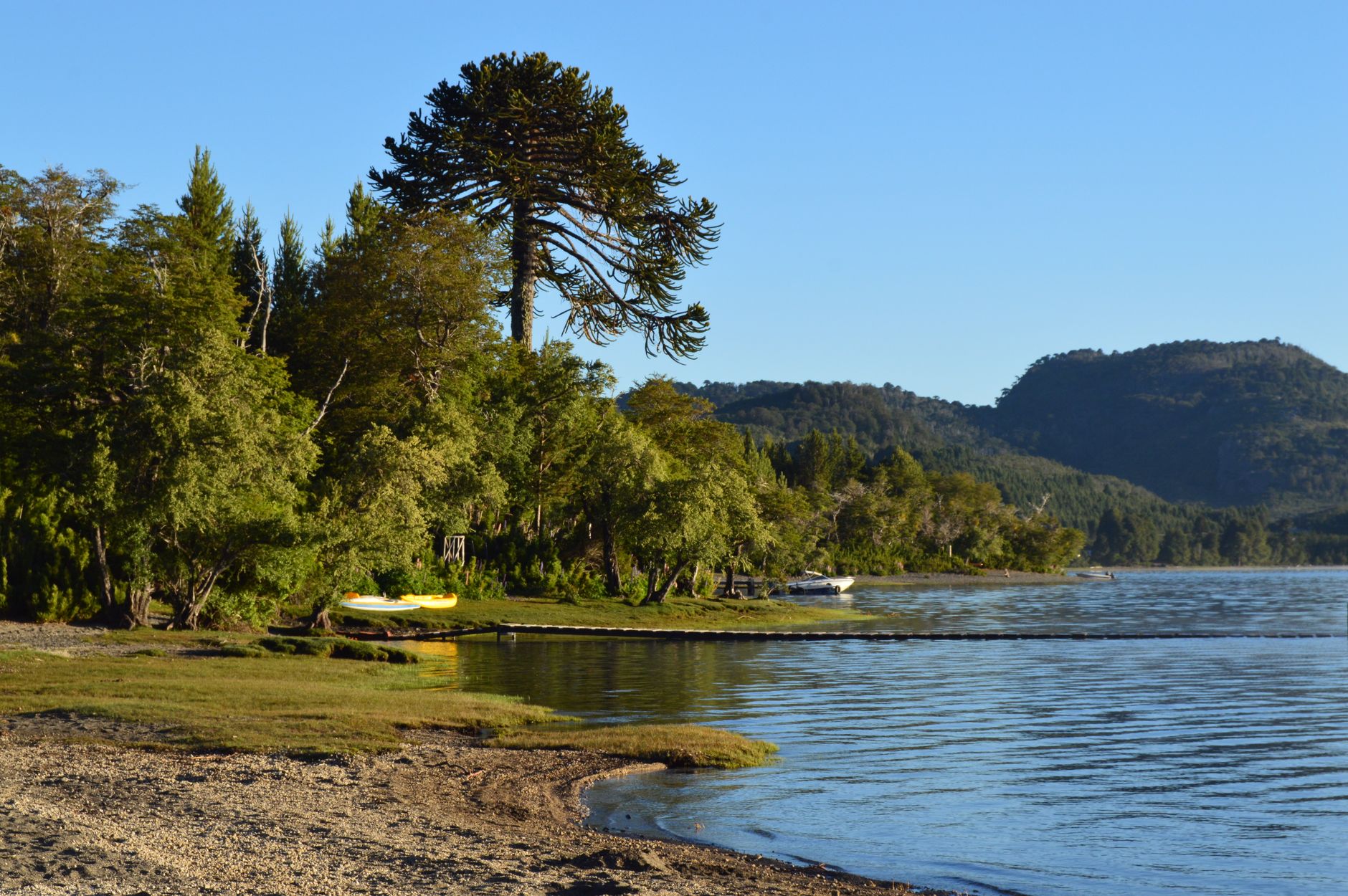 Hotels Puyehue (2026 Guide)