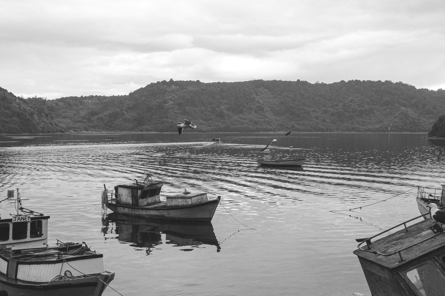 Is Puerto Montt safe for tourists? Patagonia gateway tips