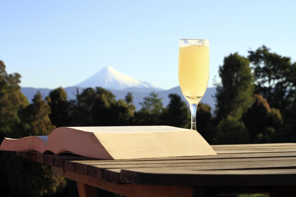 Puyehue Chile hotel Lodge El Taique