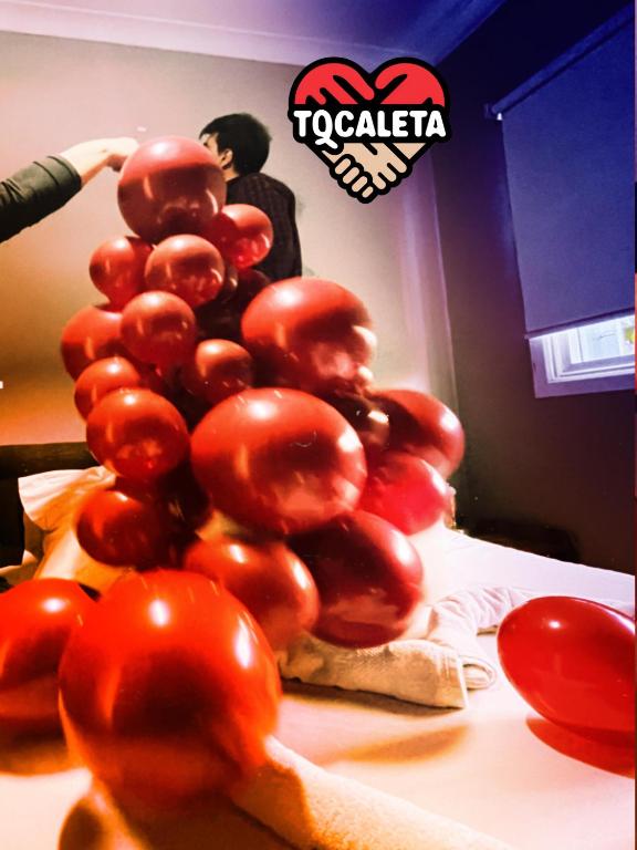 Santiago Chile hotel TQCaleta Providencia Barrio Italia