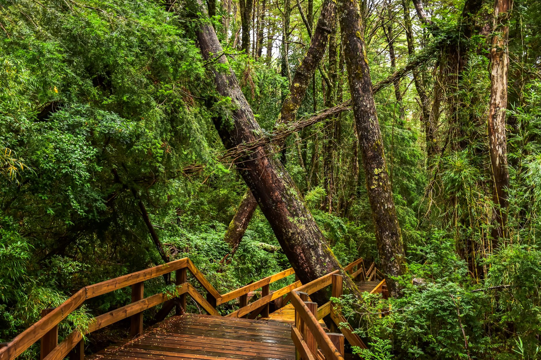 Termas Geométricas 2026: How to Get There + Honest Review
