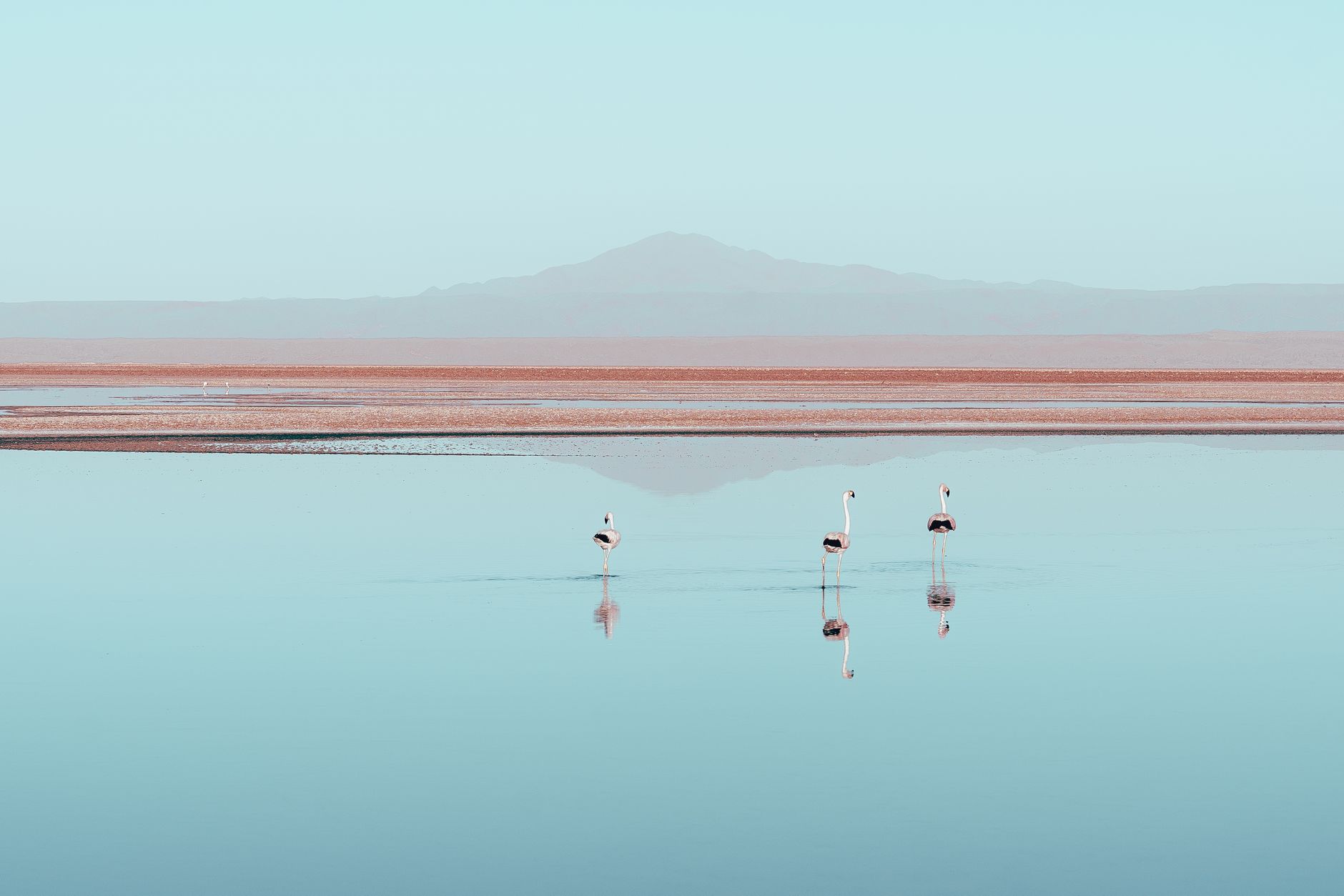Best Time to Visit Atacama Desert (2026 Edition)