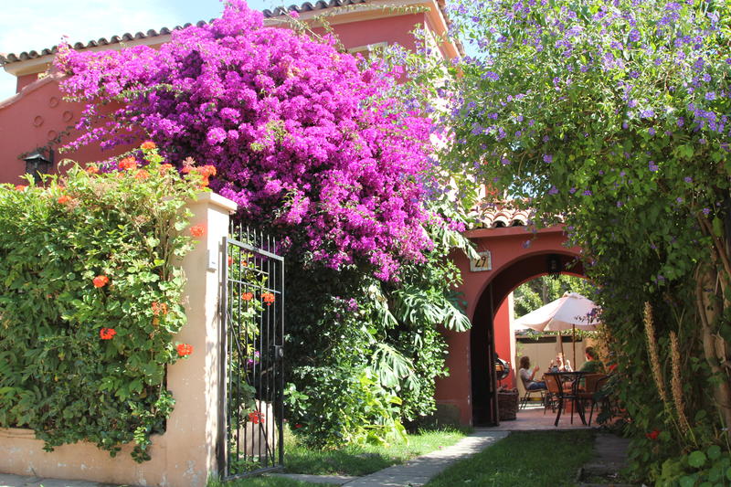 Hostal El Arbol hotel in Chile